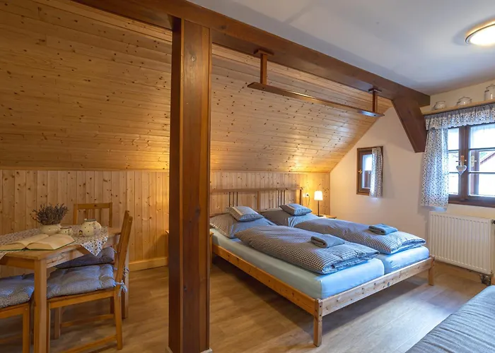 Chalet Marsovka Horni Marsov